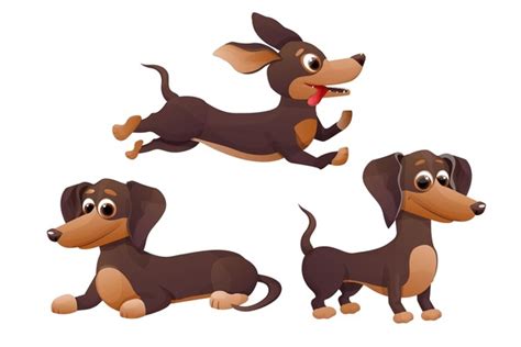 23+ Thousand Cartoon Dachshund Royalty-Free Images, Stock Photos ...