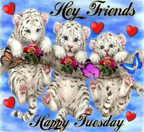 Hey Friends Happy Tuesday Pictures, Photos, and Images for Facebook, Tumblr, Pinterest, and Twitter