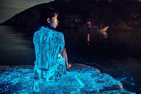 Bioluminescent algae photo not harmful: professor - Taipei Times