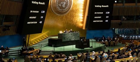 SL votes in favour of UN resolution calling for ‘humanitarian truce’ in Gaza - Newswire