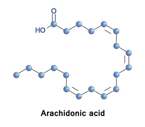 Arachidonic acid sources, health benefits and uses