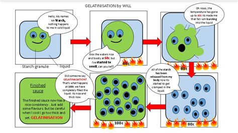 Will explains the gelatinisation process with a poster – Paulet High School & 6th Form College