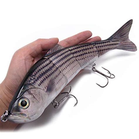 10 Best Lures For Striped Bass Fishing Of 2022 – SPI Nature Center