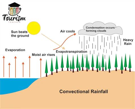 What Is Convectional Rainfall? A SIMPLE Explanation - Tourism Teacher