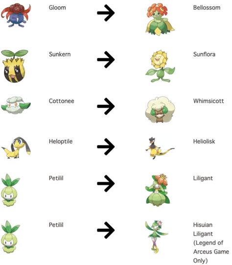 Pokemon That Evolve By Stones | PokemonCoders