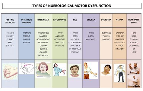 Pin on Occupational Therapy