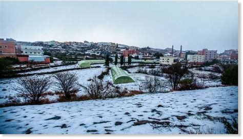 Asir region of Saudi Arabia gets covered in snow — Earth Changes — Sott.net