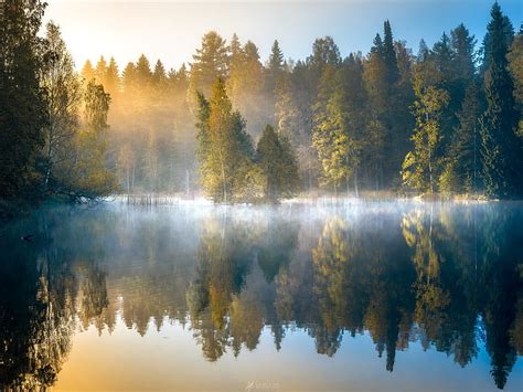 HD wallpaper: Morning forest, fog, lake, trees, autumn, Finland | Wallpaper Flare