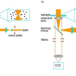 ( a ) Confocal fluorescence microscopy setup; ( b ) Wide-field... | Download Scientific Diagram