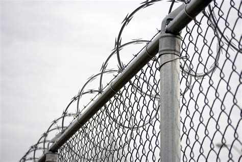 Free photo: Barb Wire Fence - Barbwire, Droplets, Fence - Free Download ...