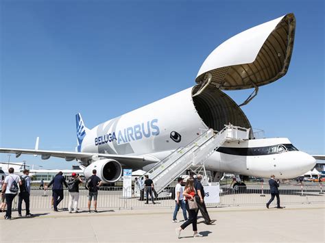 Beluga XL: The new mammoth cargo plane from Airbus - Breaking Latest News