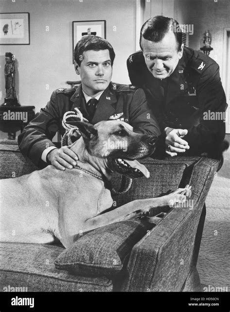 I DREAM OF JEANNIE, Larry Hagman, Hayden Rorke, in Season 2 episode, 'What's New, Poodle Dog ...