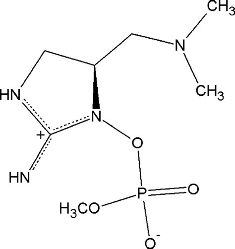 Structure of anatoxin-a(S) (ATX(S)). | Download Scientific Diagram