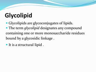 Glycolipid ppt