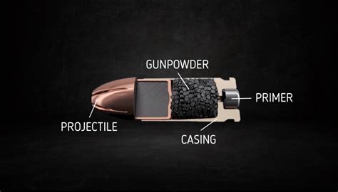 The Parts of a Bullet: Everything You Need to Know – Gunners Outlet