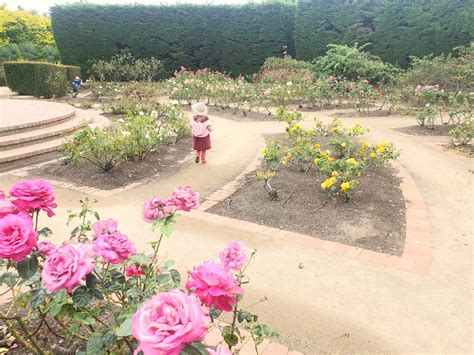 St Kilda Botanical Gardens - Mum's Little Explorers