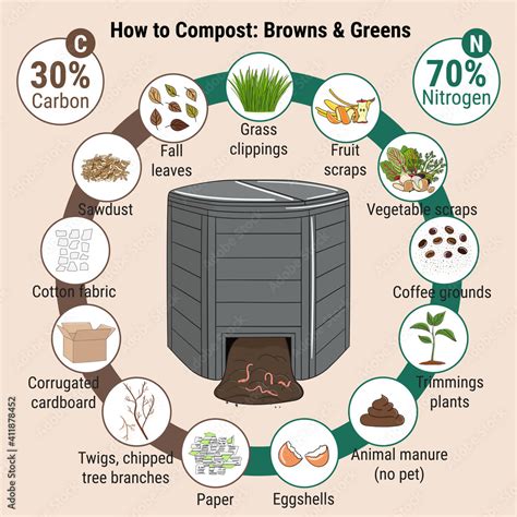 Infographic of garden composting bin with scraps. What to compost. Green and brawn ratio for ...