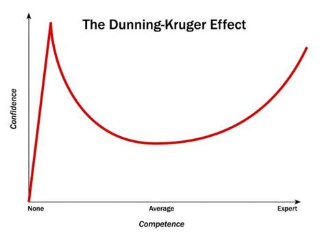 The Real Dunning-Kruger Graph | graph paper diaries