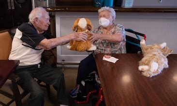 Robot Pets for Seniors | Seniors Guide