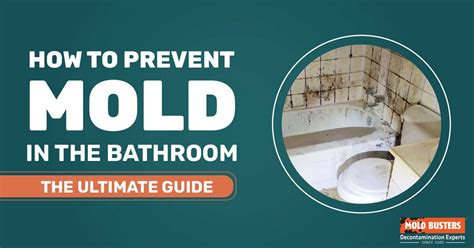 How to Prevent Mold in the Bathroom | The Ultimate Guide