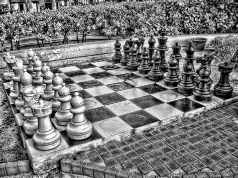 charu gandhi: Chess