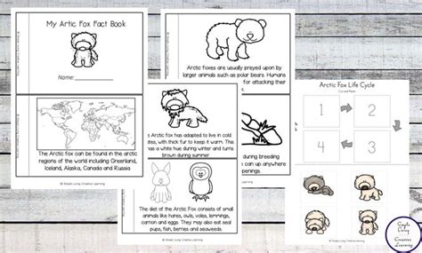 Arctic Fox Life Cycle Printable Pack - Simple Living. Creative Learning