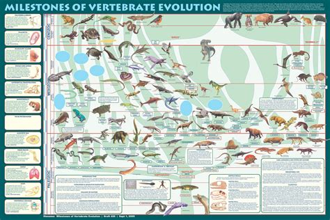 a poster with dinosaurs and other animals on it