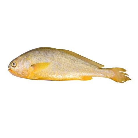 黃花魚 Yellow Croaker Fish ~500g – LI-AN Hotpot Mart