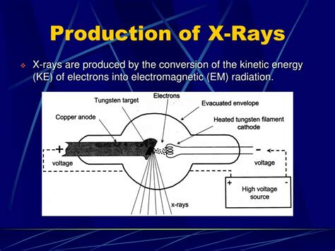 Physics In X Rays at Rosa Niles blog