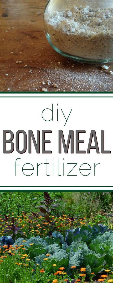 How to make bone meal for a better garden! | Healthy garden, Organic gardening soil, Organic ...