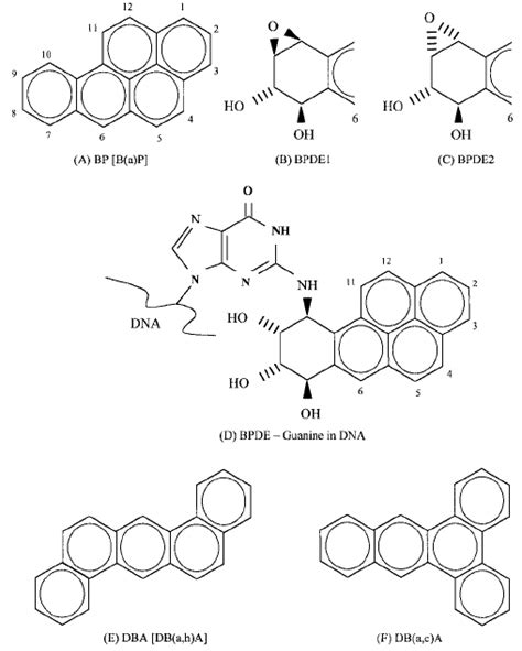 Structural formulae of ( A ) benzo[ a ]pyrene; ( B ) benzo[ a ...