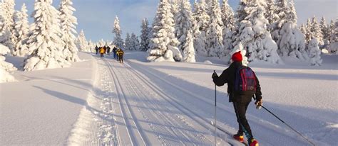 Actividades relacionadas con Otros deportes de invierno. Tu actividad en Centraldereservas.com