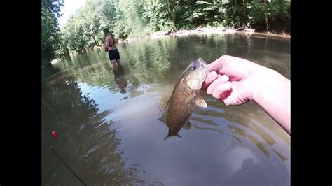 Creek Fishing on Buckcreek - YouTube