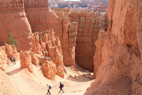 Bryce Canyon Is Only 4 Hours from Las Vegas and Totally Worth The Hype ...