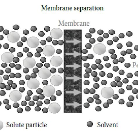 (PDF) Applications of membrane separation technology in food industry