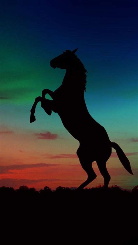 Download Cute Horse Silhouette Wallpaper | Wallpapers.com