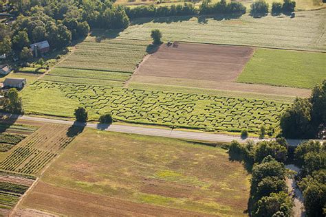 240+ Corn Maze Aerial Photos Stock Photos, Pictures & Royalty-Free ...