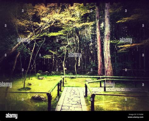 Japanese garden in Kyoto Stock Photo - Alamy