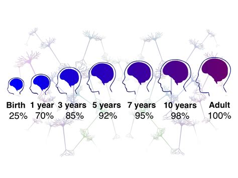 Brain Growth in the First Five Years of Life | Institute for Learning ...