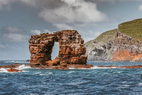 Darwin's Arch off Galapagos falls into Pacific Ocean - Australian ...