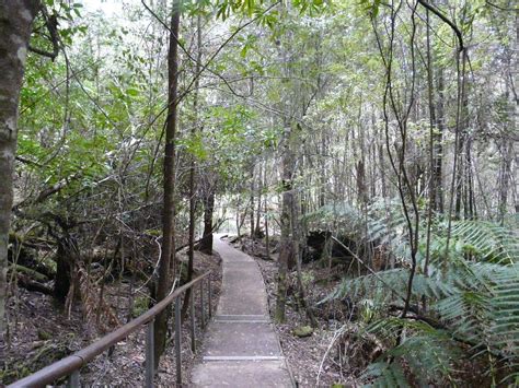 Tahune AirWalk, Tasmania | Tahune AirWalk, Tasmania | Flickr