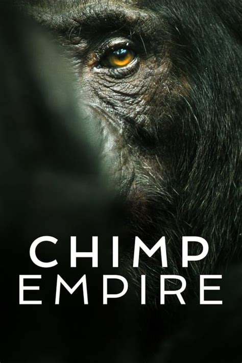 The Best Way to Watch Chimp Empire