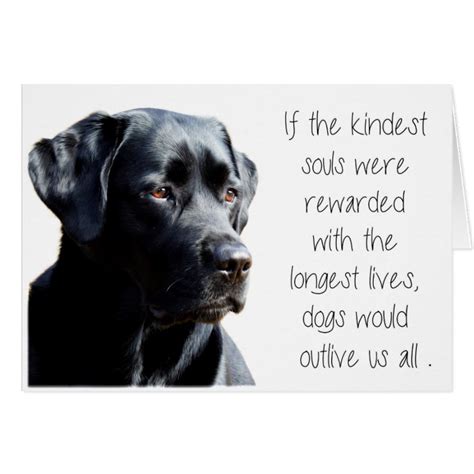 Black Lab Sympathy Card - Dog Sympathy - Pet Loss | Zazzle.com