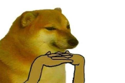 ~ Cheems ~ Chống cằm | Meme de dogo, Memes atrevidos, Memes lindos