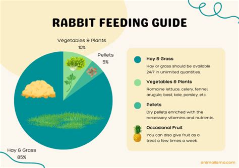 Rabbit Feeding Guide: What & How Much to Feed Your Bunnies