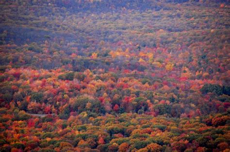 Here Are The Best Times And Places To View Pennsylvania’s Fall Foliage ...