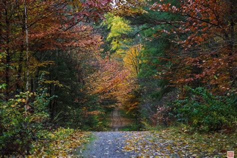 27 of the Best Hiking Spots & Nature Parks in the Durham Region