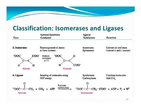 Enzymes