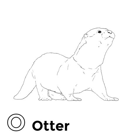 Otter Vector Design Images, Otter Line Art For Coloring Book, Book Drawing, Ring Drawing, Color ...