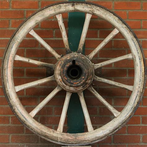 cart wheel | Banham Zoo Banham, Norfolk, England, UK | Leo Reynolds ...
